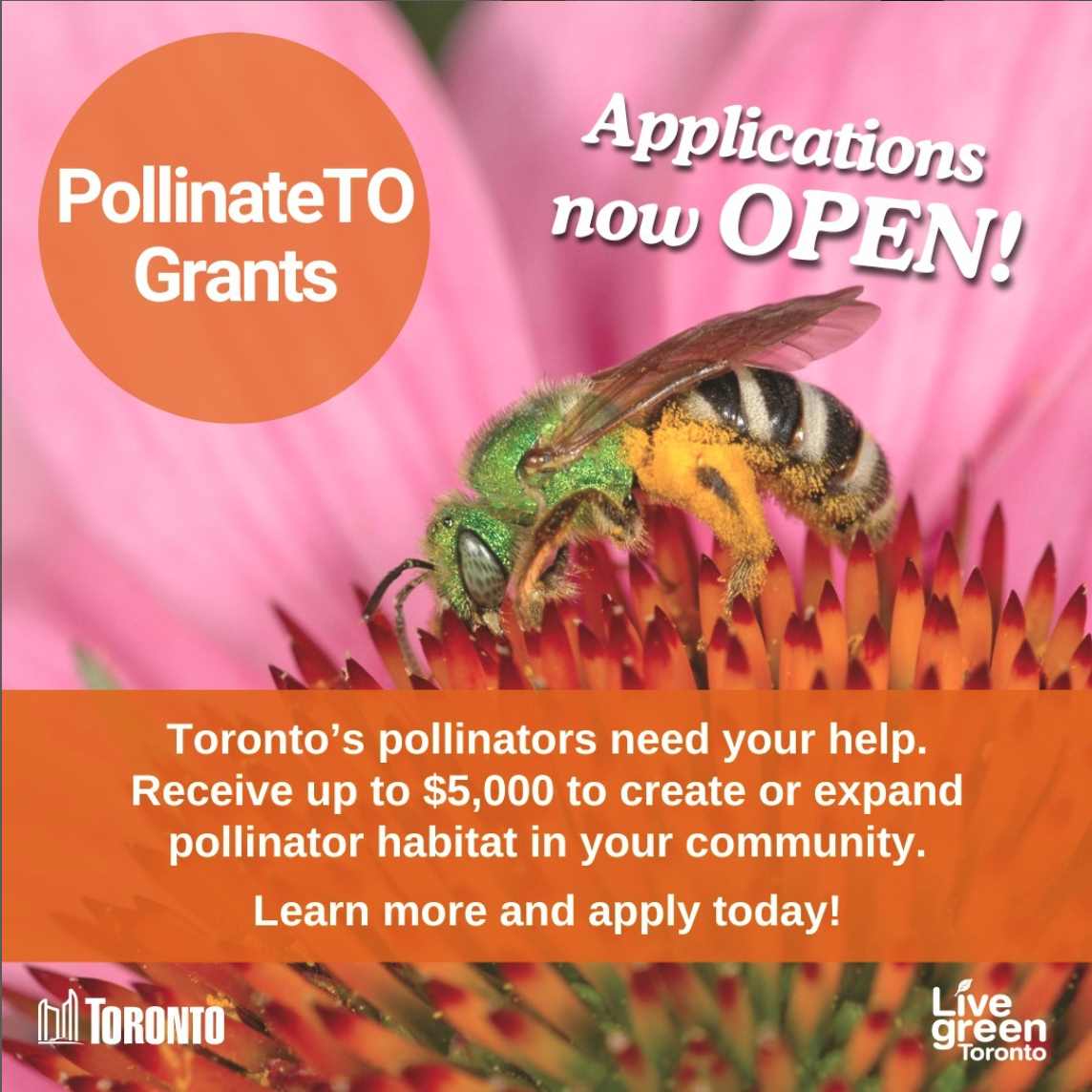 pollinateTO
