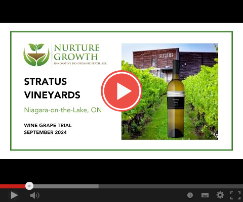 Stratus-testimonial
