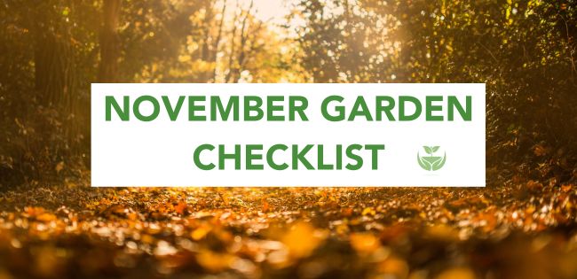 October Garden Checklist banner