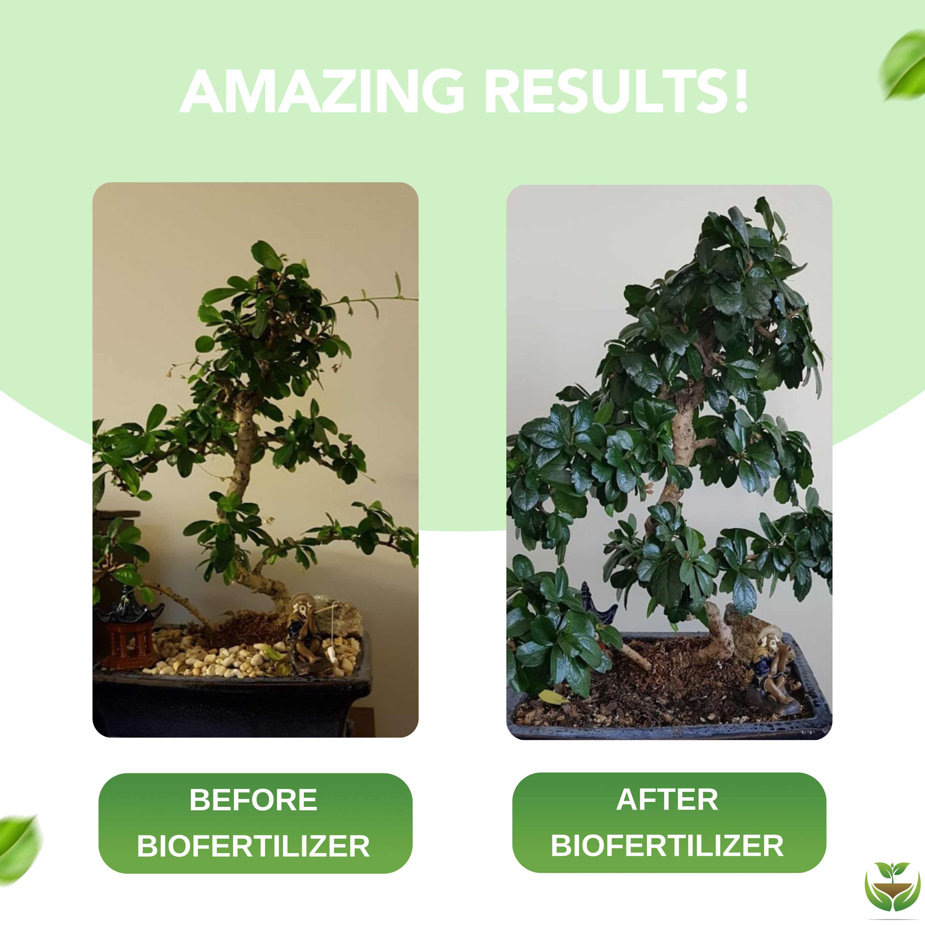 All Purpose Organic Biofertilizer