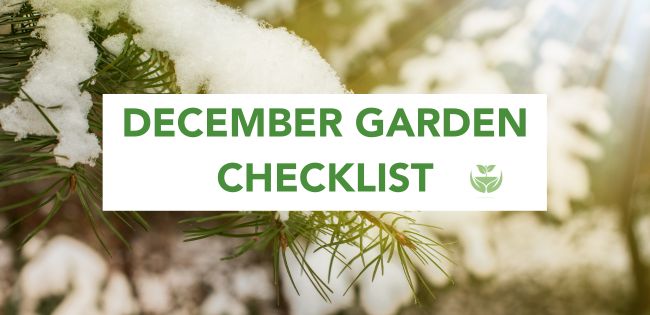 December Garden Checklist banner