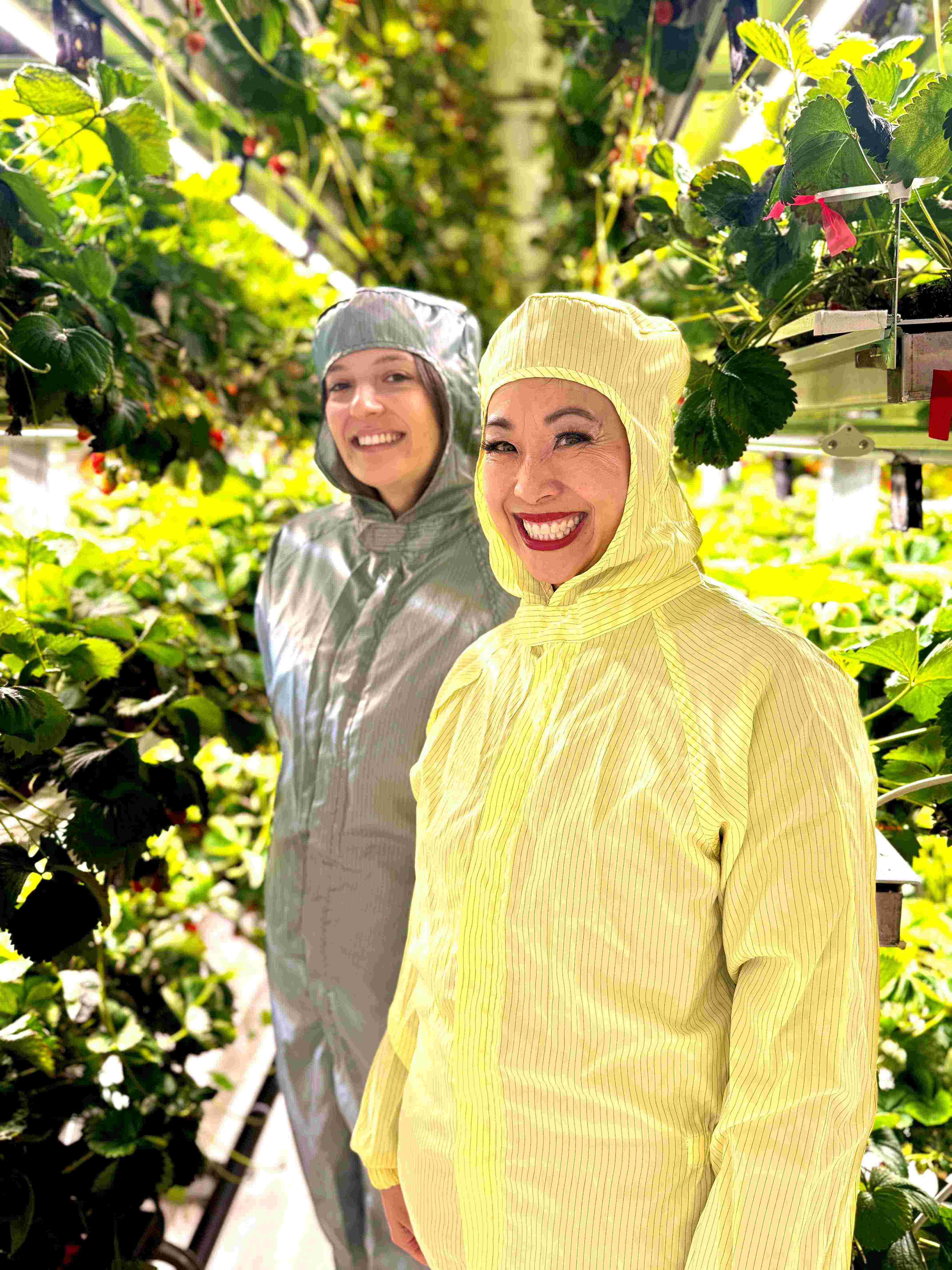 Gush Farms