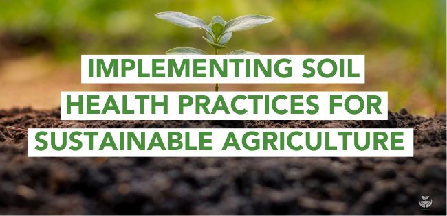 Introduction to Soil Food Web and Soil Health