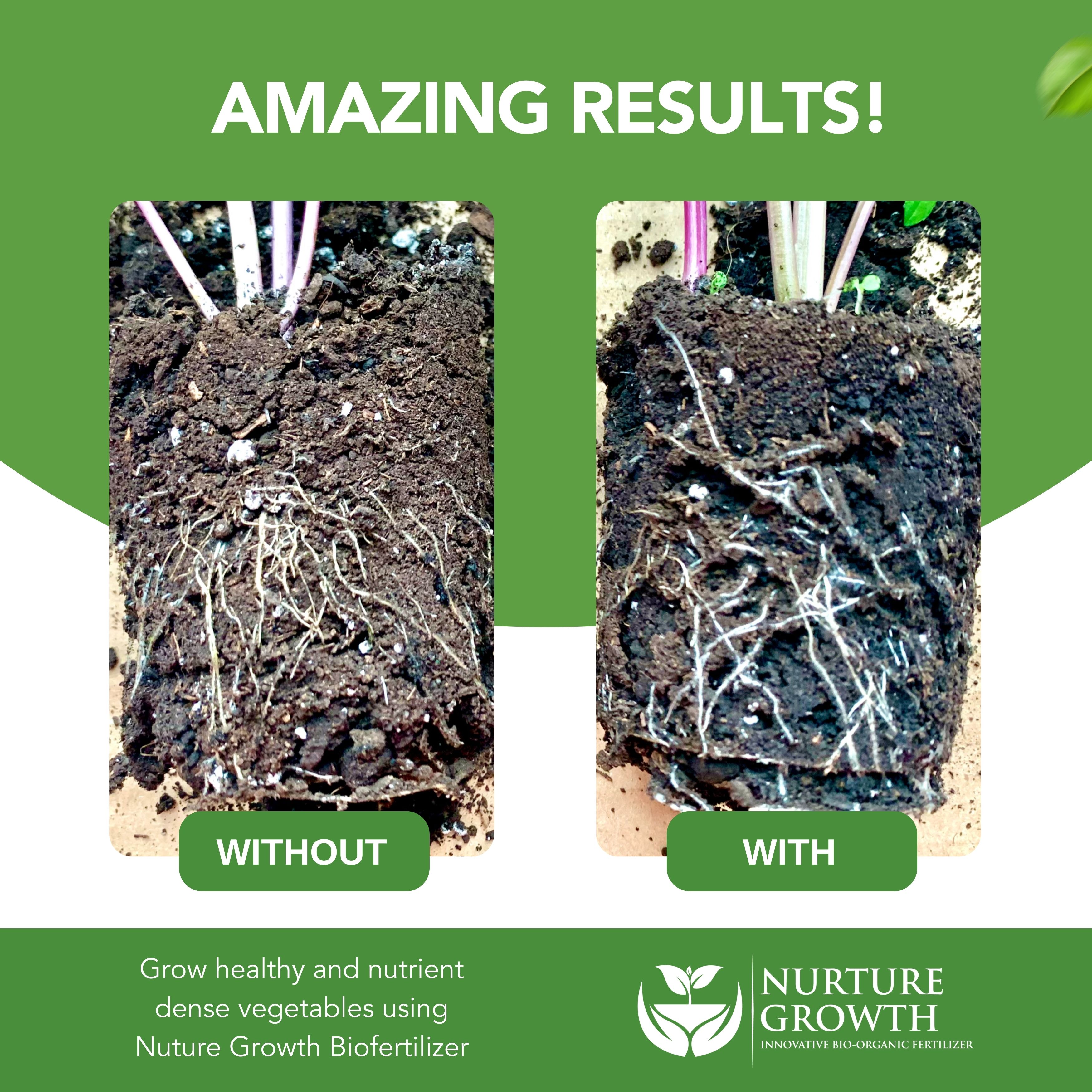 All Purpose Organic Biofertilizer