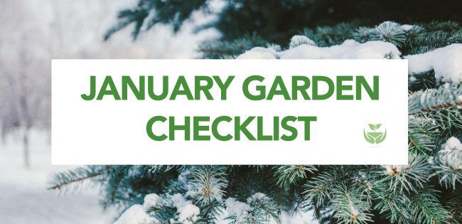 January Garden Checklist Banner