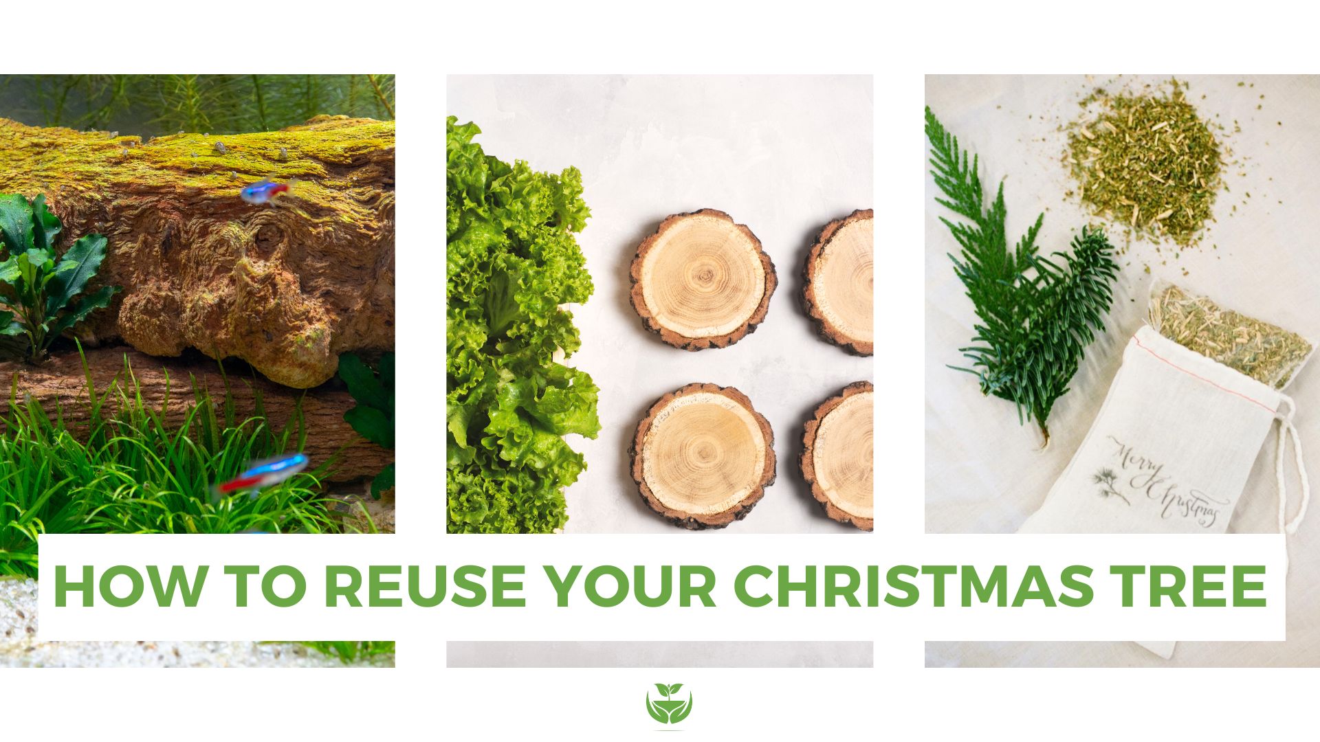 How To Reuse your Christmas Tree Blog Banner