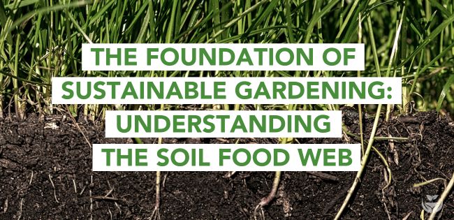 Soil Food Web Blog Banner