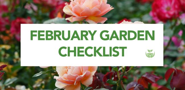 February Garden Checklist Banner