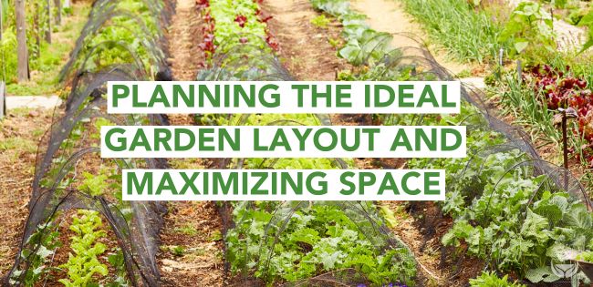Planning Ideal Garden Blog Banner