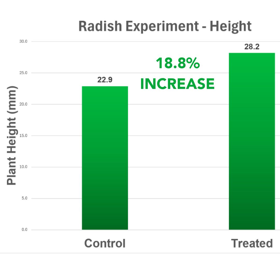 Radish Experiment Height Graph