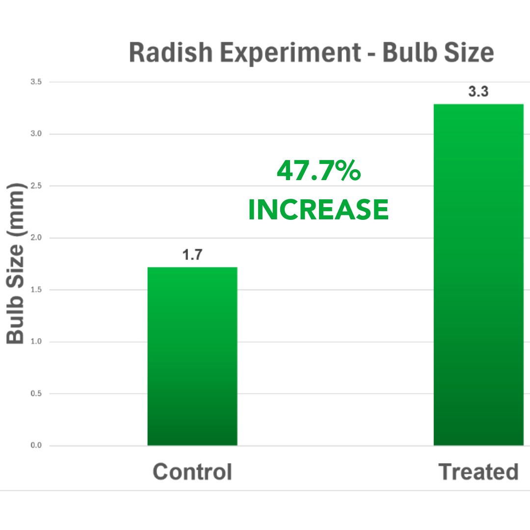 Radish Experiment Bulb Size Graph