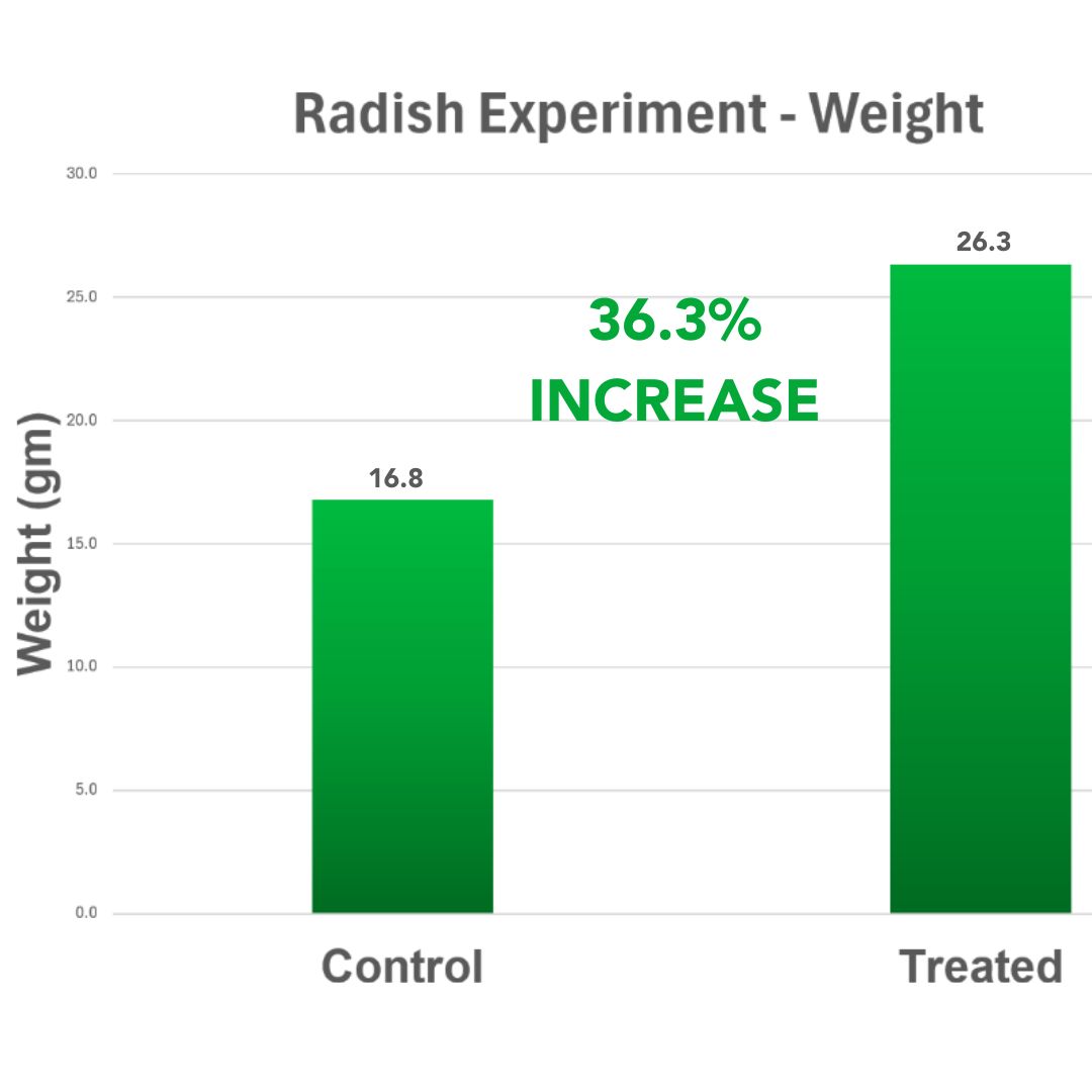 Radish Experiment Weight Graph