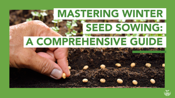 Winter Seed Sowing Blog Cover