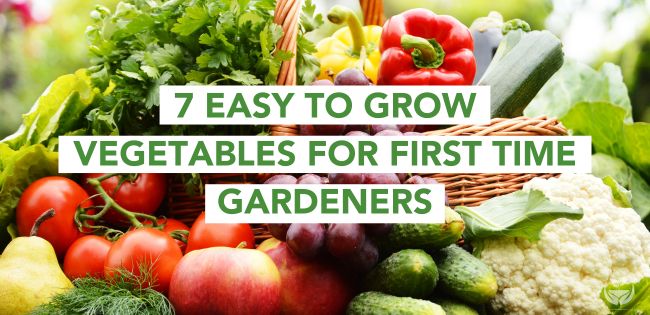 Planning Ideal Garden Blog Banner
