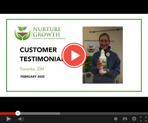 Home-Testimonial