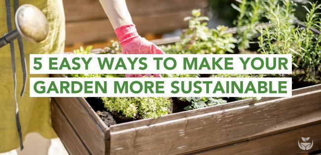 Creating a Sustainable Garden