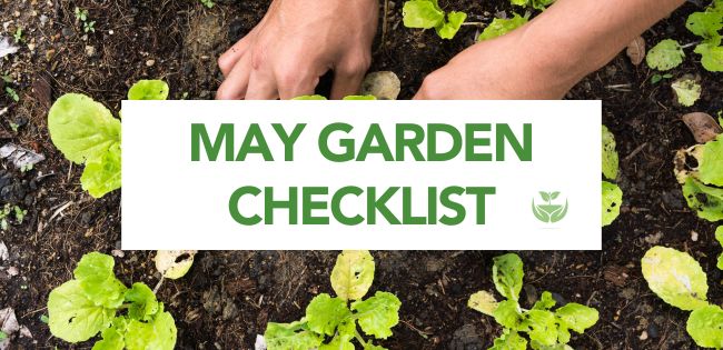 May Garden Checklist Banner