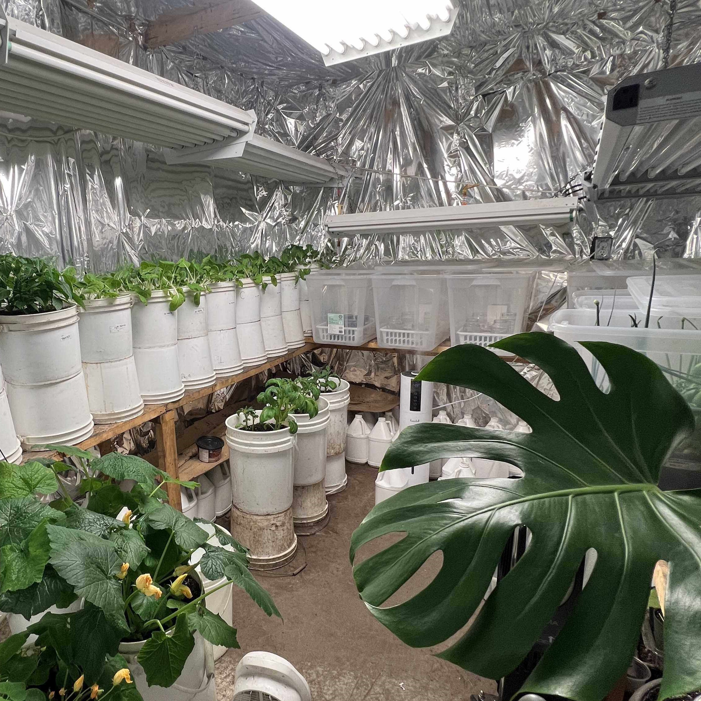 NGB Greenhouse