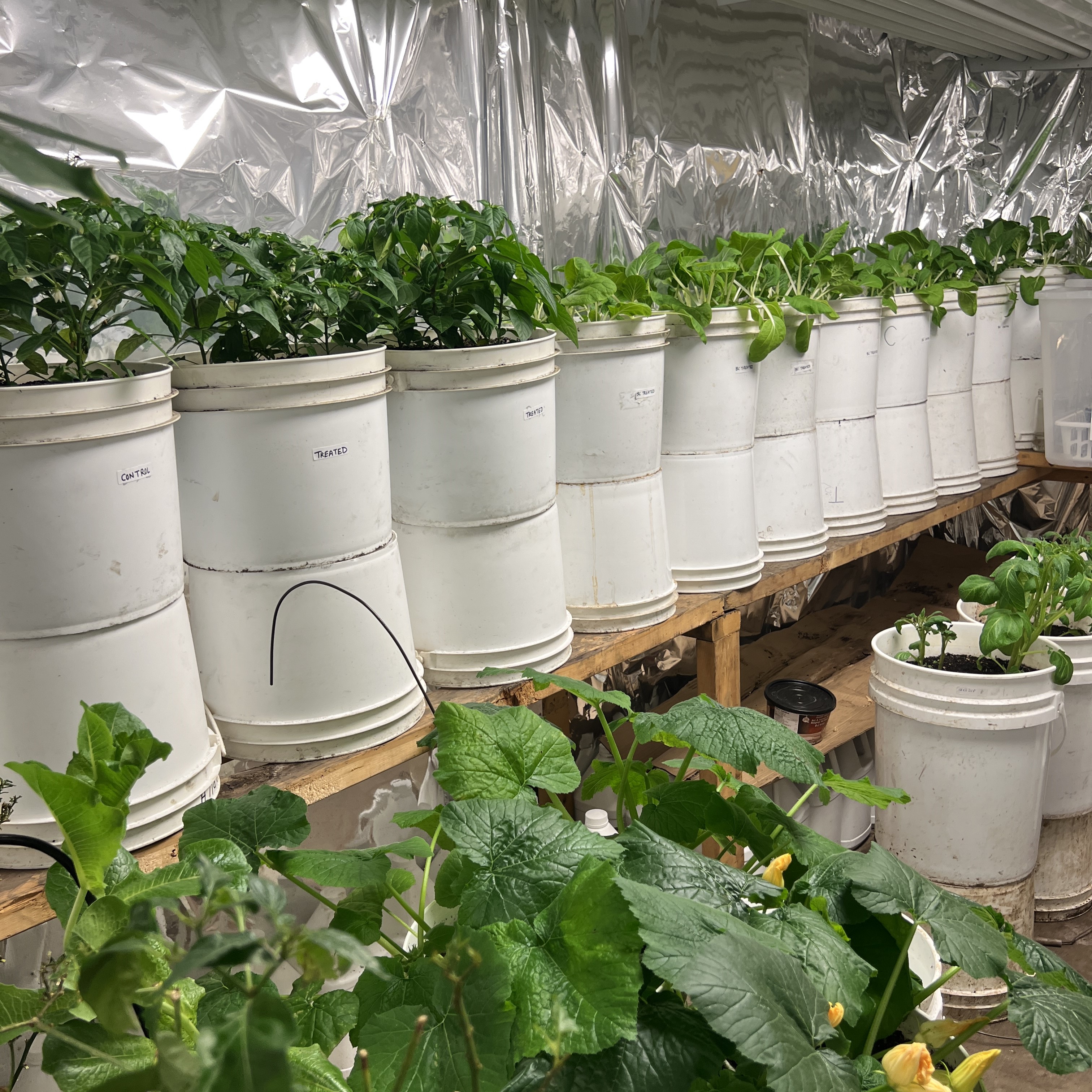 NGB Greenhouse