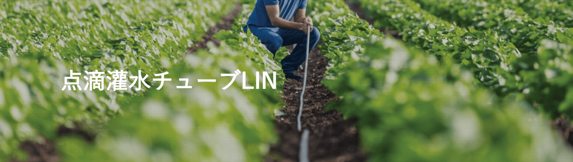 点滴灌水チューブLIN
