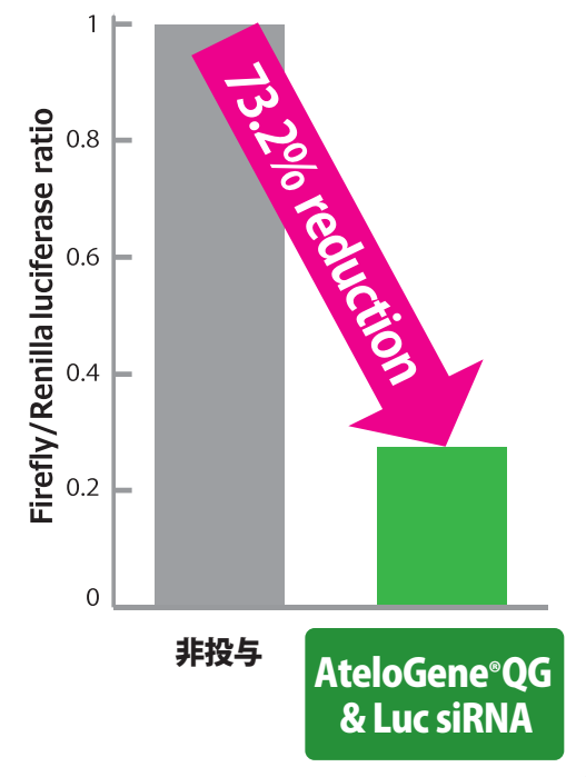 https://stratus.campaign-image.com/images/730199000025984004_zc_v1_1700012723476_melanoma_luc_sirna.png