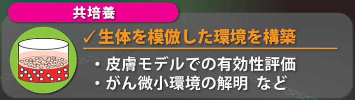https://stratus.campaign-image.com/images/730199000029060014_2_1721615883211_zc-noimage.png