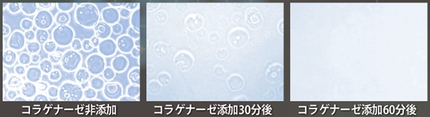 https://stratus.campaign-image.com/images/730199000029656074_2_1721615883211_zc-noimage.png