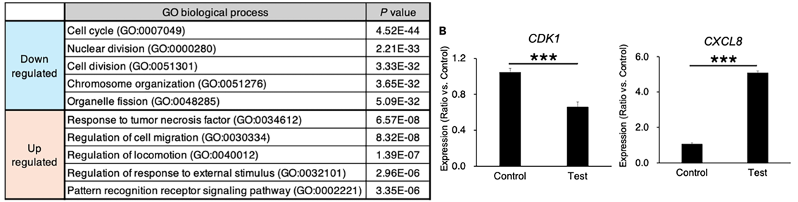 https://stratus.campaign-image.com/images/730199000030199004_zc_v1_1755149276124_go_analysis_and_qpcr.png