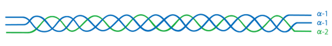 https://stratus.campaign-image.com/images/730199000036975003_zc_v1_1778221520883_native_collagen.png