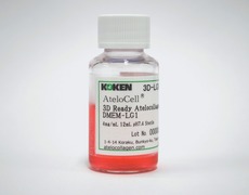 https://stratus.campaign-image.com/images/730199000036975003_zc_v1_1778466411997_3d_ready_atelocollagen_2_resize.jpg