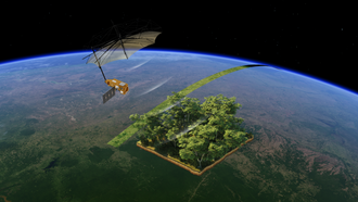 https://stratus.campaign-image.com/images/757648000007732004_zc_v1_1750793593570_trees.png