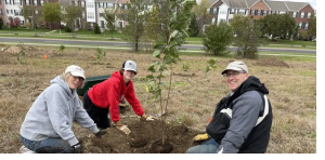 Invasive trees