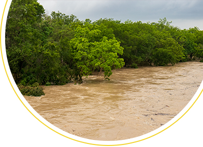 June 2025 Newsletter