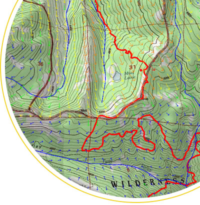 June 2025 Newsletter