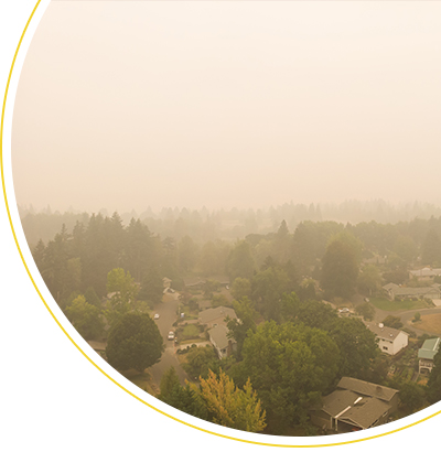 June 2025 Newsletter