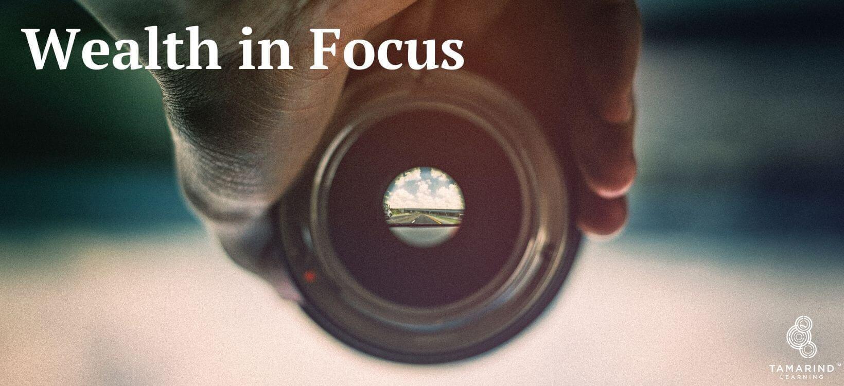 Wealth in Focus Tamarind Learning
