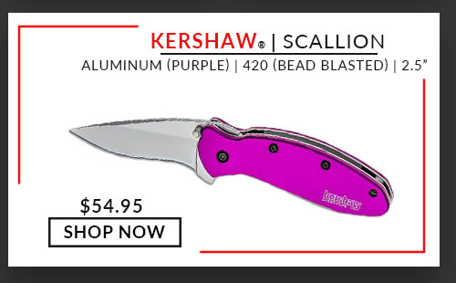 Kershaw - Scallion - Purple Aluminum - Bead Blast - 420 - 2.50