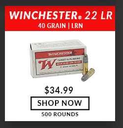 Winchester - 22 Long Rifle - 40 Grain - LRN - 500 Rounds