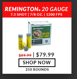 Remington - Gun Club® Target Loads - 20 Gauge - #7.5 Shot - 2-3/4'' - 7/8 oz. - 1200 FPS - 250 Rounds