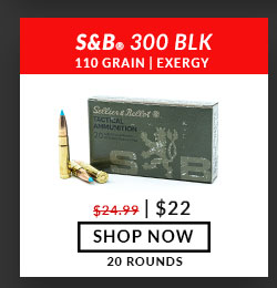 Sellier & Bellot - 300 Blackout  - 110 Grain - Exergy - 20 Rounds