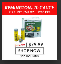 Remington - Gun Club® Target Loads - 20 Gauge - #7.5 Shot - 2-3/4'' - 7/8 oz. - 1200 FPS - 250 Rounds