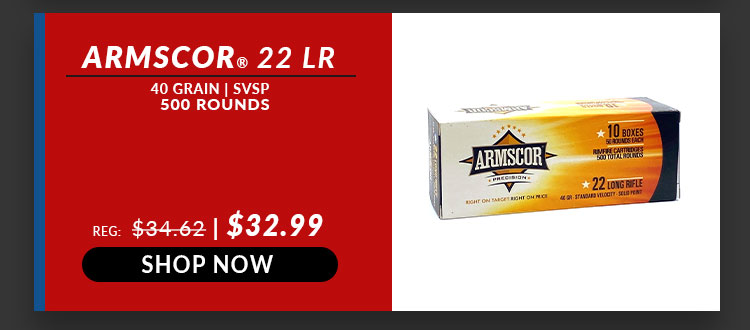 Armscor - 22 Long Rifle - 40 Grain - SVSP - 500 Rounds