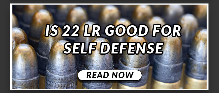22 LR Good for Self Defense?