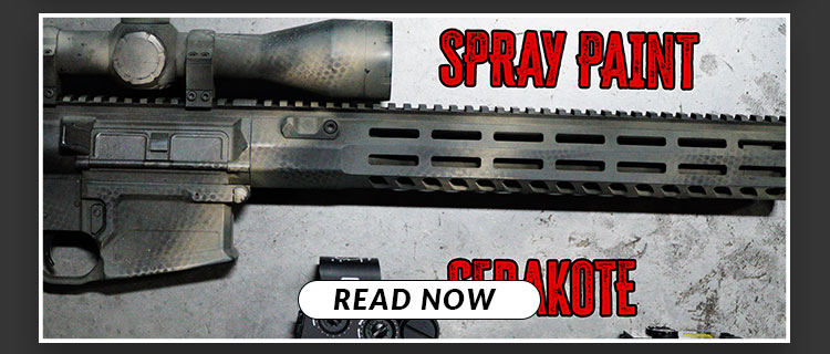 Should I Cerakote or Spray paint my Gun?