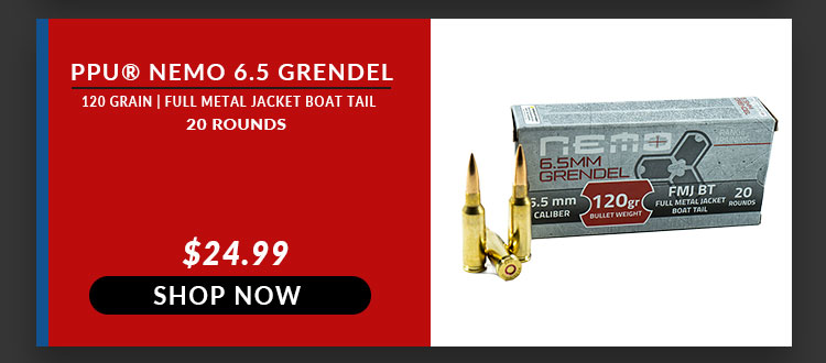 Prvi Partizan (PPU) – NEMO – 6.5 Grendel – 120 Grain – FMJBT