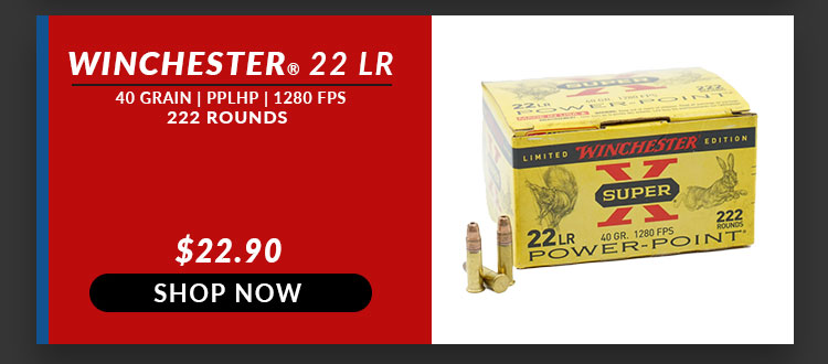 Winchester – SUPER X – 22 Long Rifle – 40 Grain – PPLHP