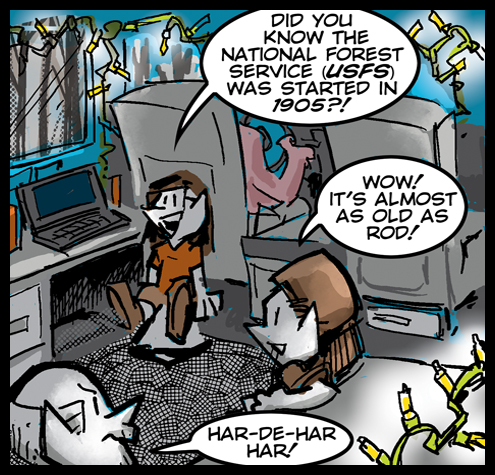 The National Forest Service