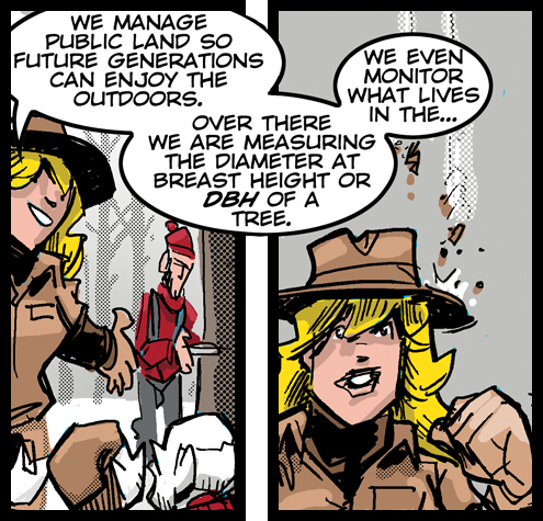 Diameter at breast height (DBH)