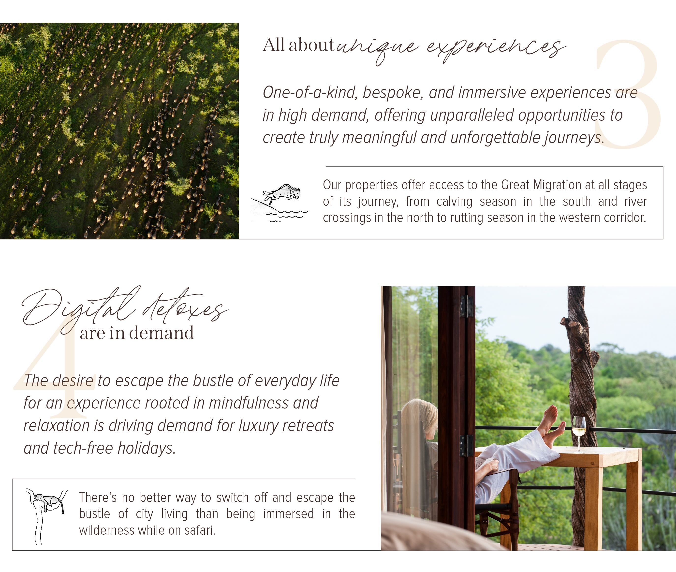 All about unique experiences | Digital detoxes are in demand