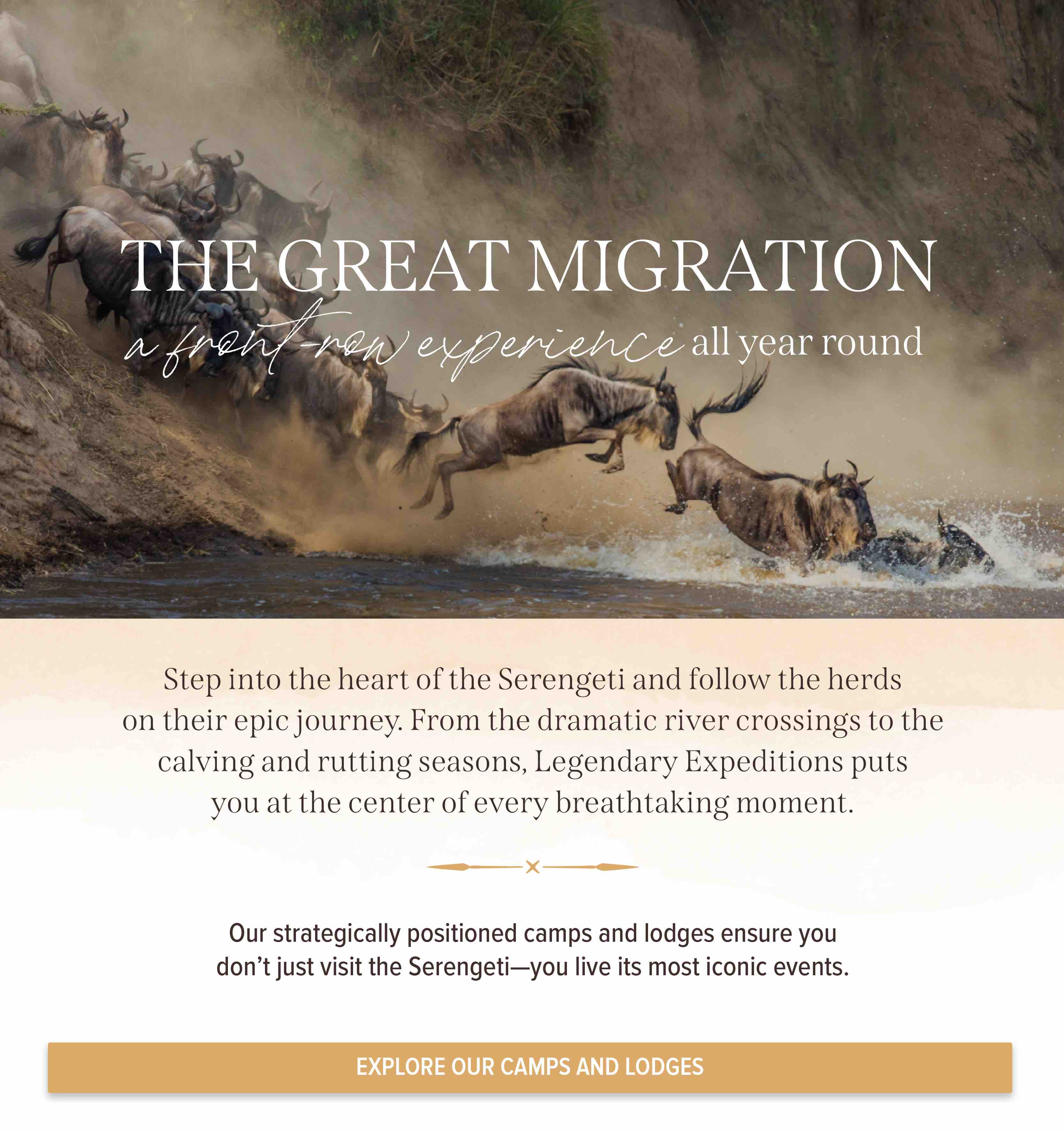 Explore our camps and lodges